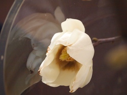 P1015815 - バージョン 2.JPGのサムネール画像